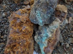 sample k140134 in historical trench at marilyn creek